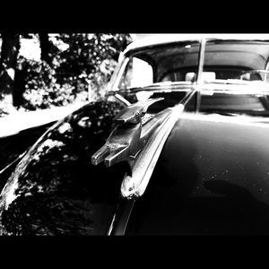 Meet your Posher, Gregory